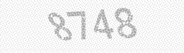 Visual security code — type the characters shown in the image